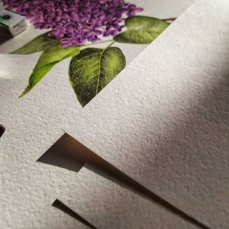 Papier do akwareli PALAZZO "Piwonia" w teczce 300g/m2 A4 - P-1722 - foto.5